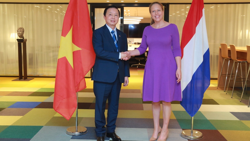 Vietnam and Netherlands vow to develop comprehensive partnership substantively